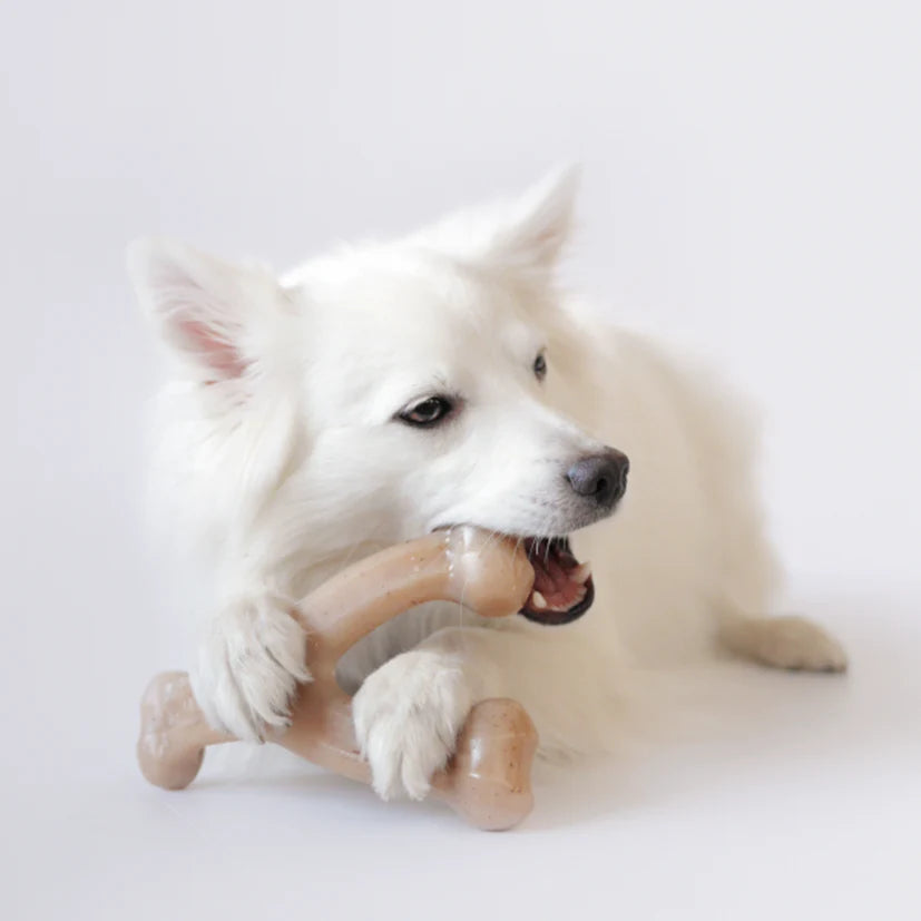 Benebone Wishbone - Chicken Large