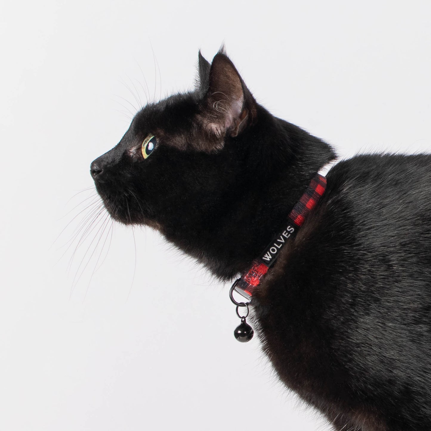 Wolves of Wellington Buffalo Cat Collar