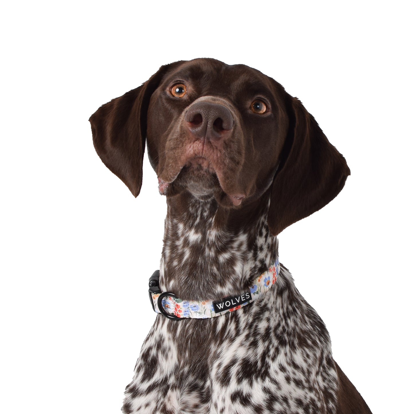 Wolves of Wellington Posy Collar