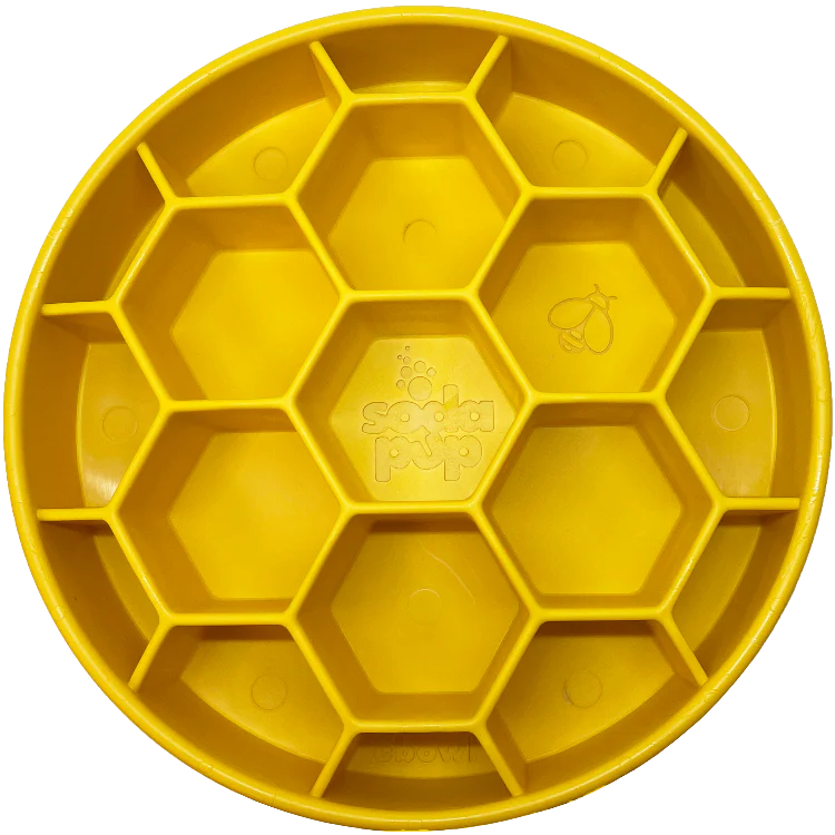 Sodapup Honeycomb eBowl Slow Feeder