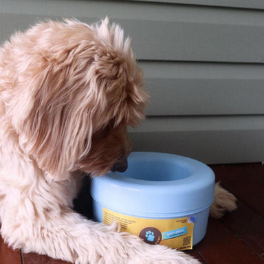 Non spill dog water bowl
