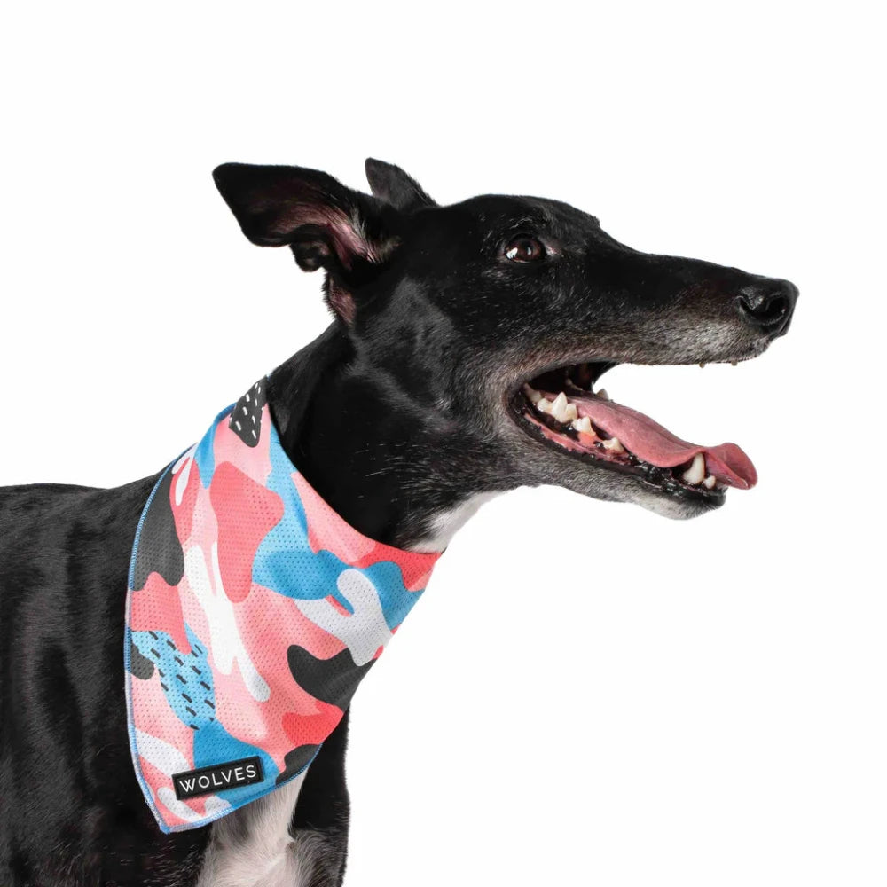 Bandana, cooling
