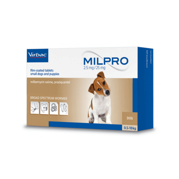 Dog, worm treatment