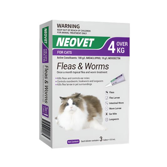Flea & worm treatment