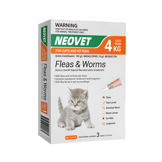 Flea & worm treatment