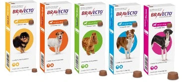 Bravecto Flea Chew Tab Medium Dog 10-20kg