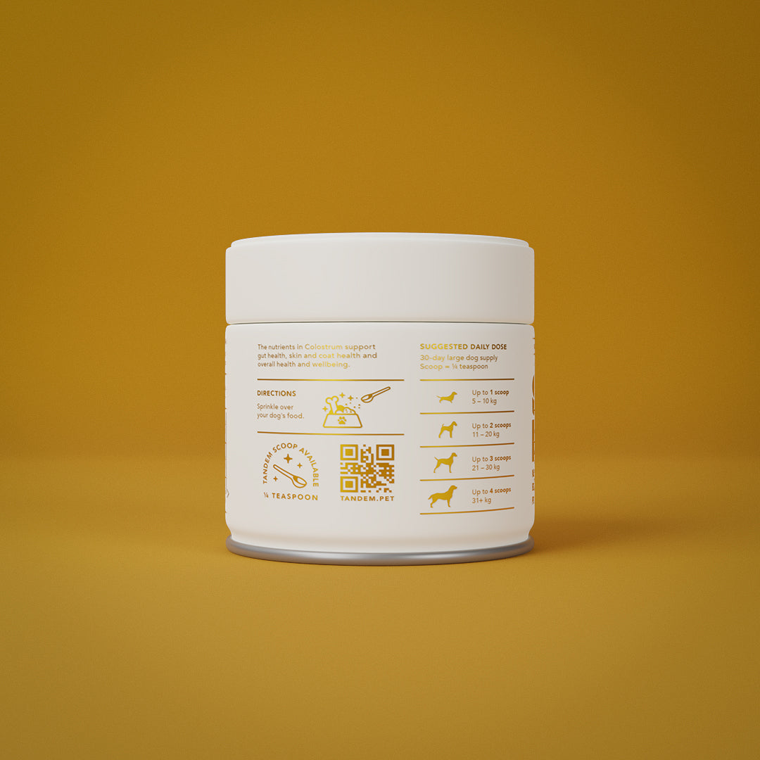 Colostrum powder, supplement