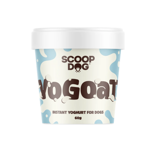 Goat milk yoghurt