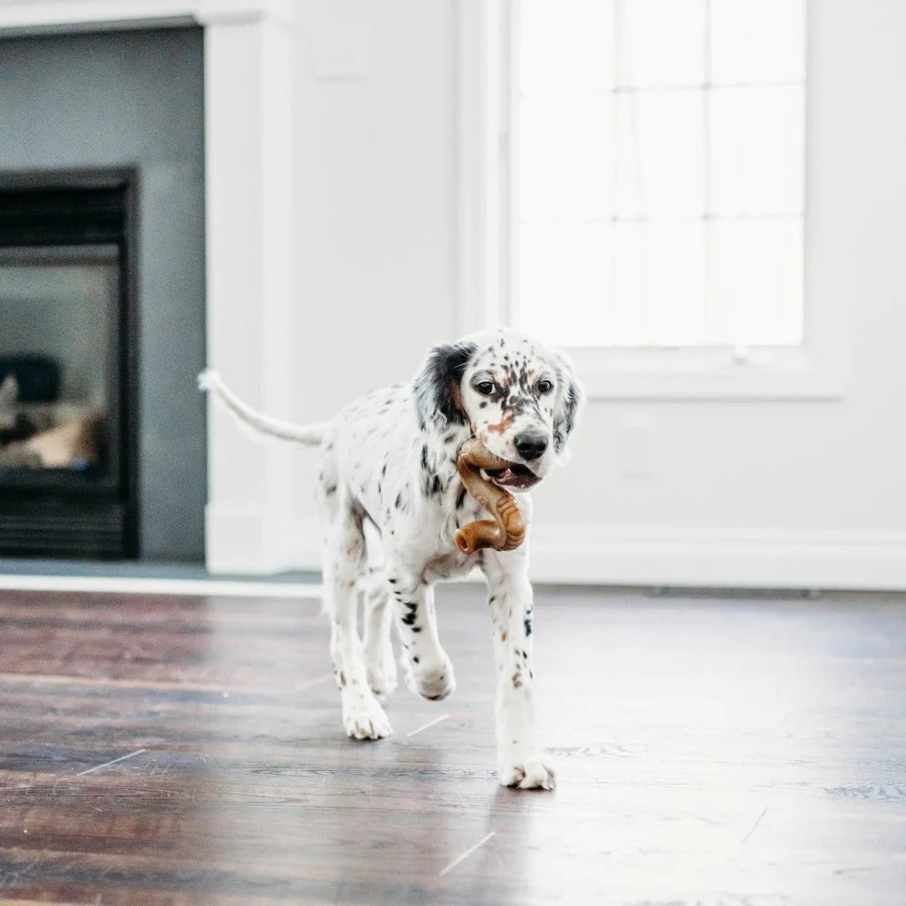 Dental chew, dog toy, durable