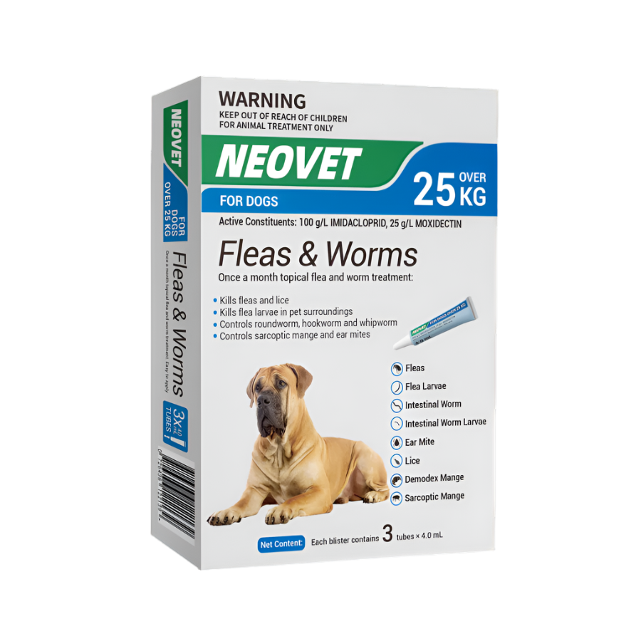 Flea & worm treatment