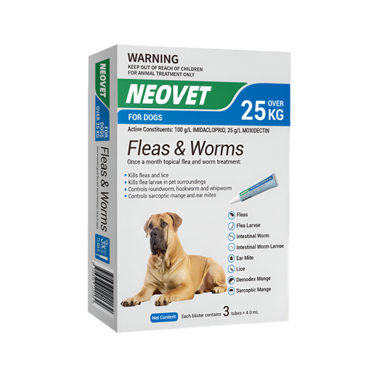Flea & worm treatment