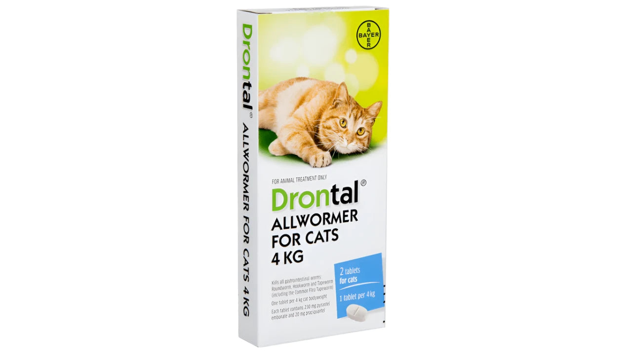 Drontal Allwormer For Cats pack – Pet Products New Zealand