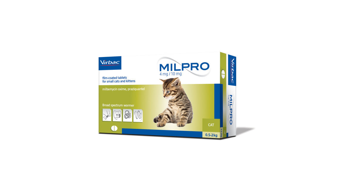 Cat, worm treatment