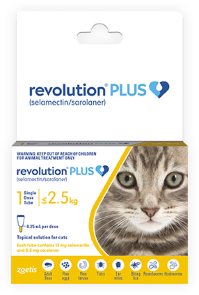 Revolution Plus Cat - Single Treatment