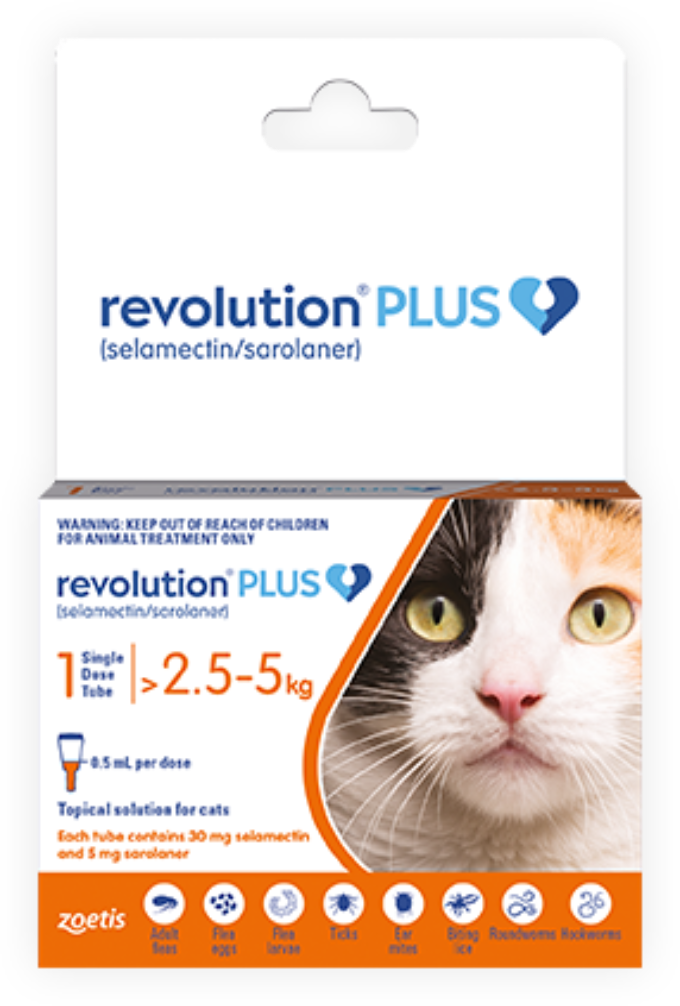 Cat flea & worm treatment