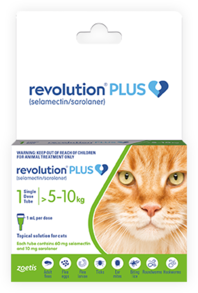 Cat flea & worm treatment