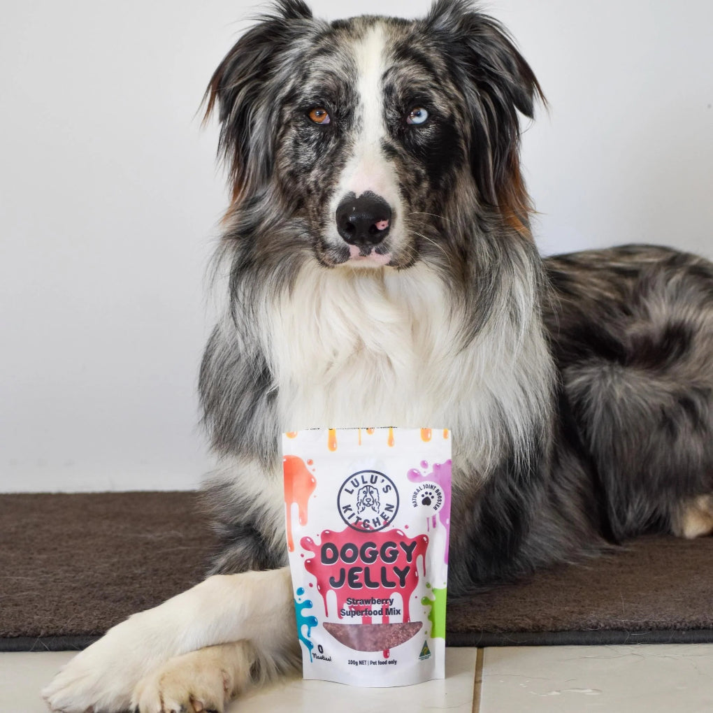 Dog jelly, treat