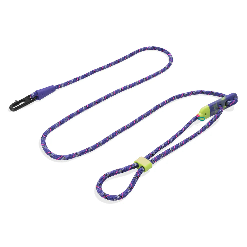 Hands free leash