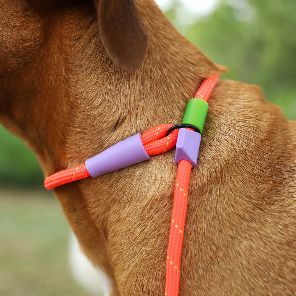 Slip lead
