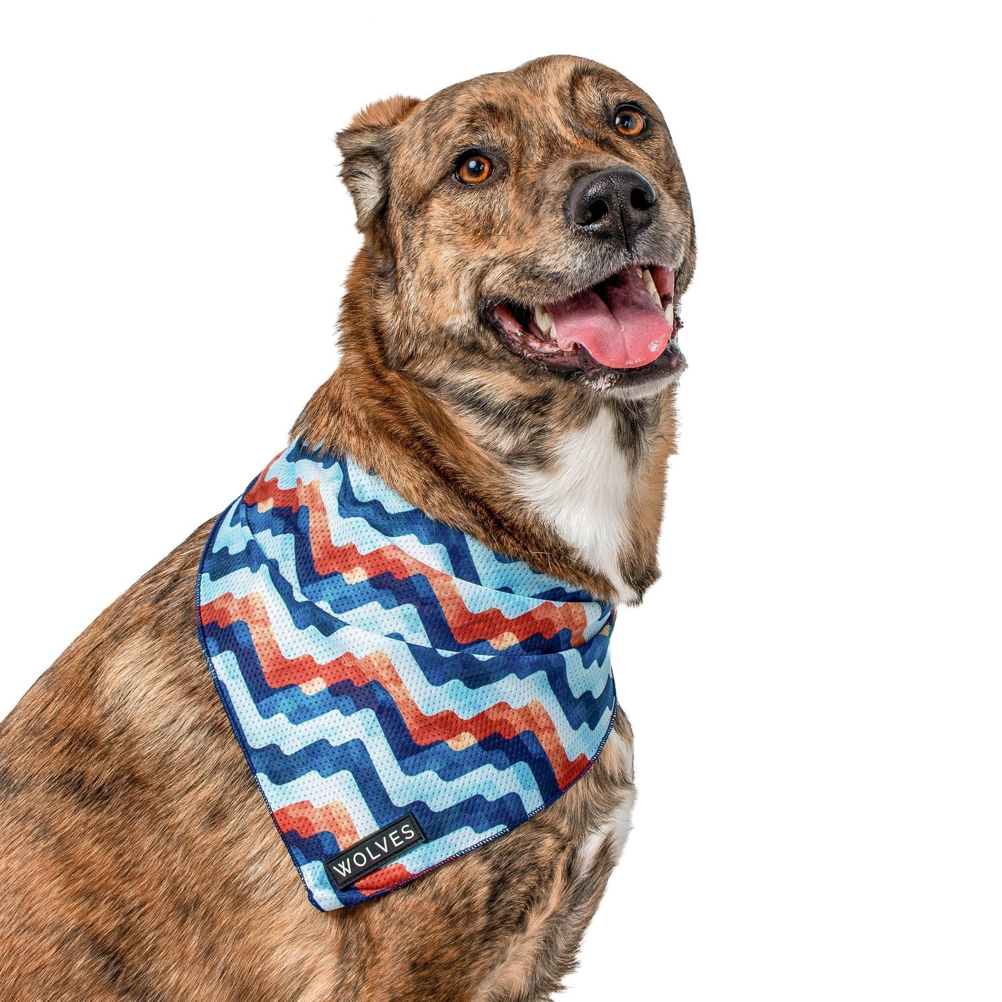 Wolves of Wellington Maverick Bandana