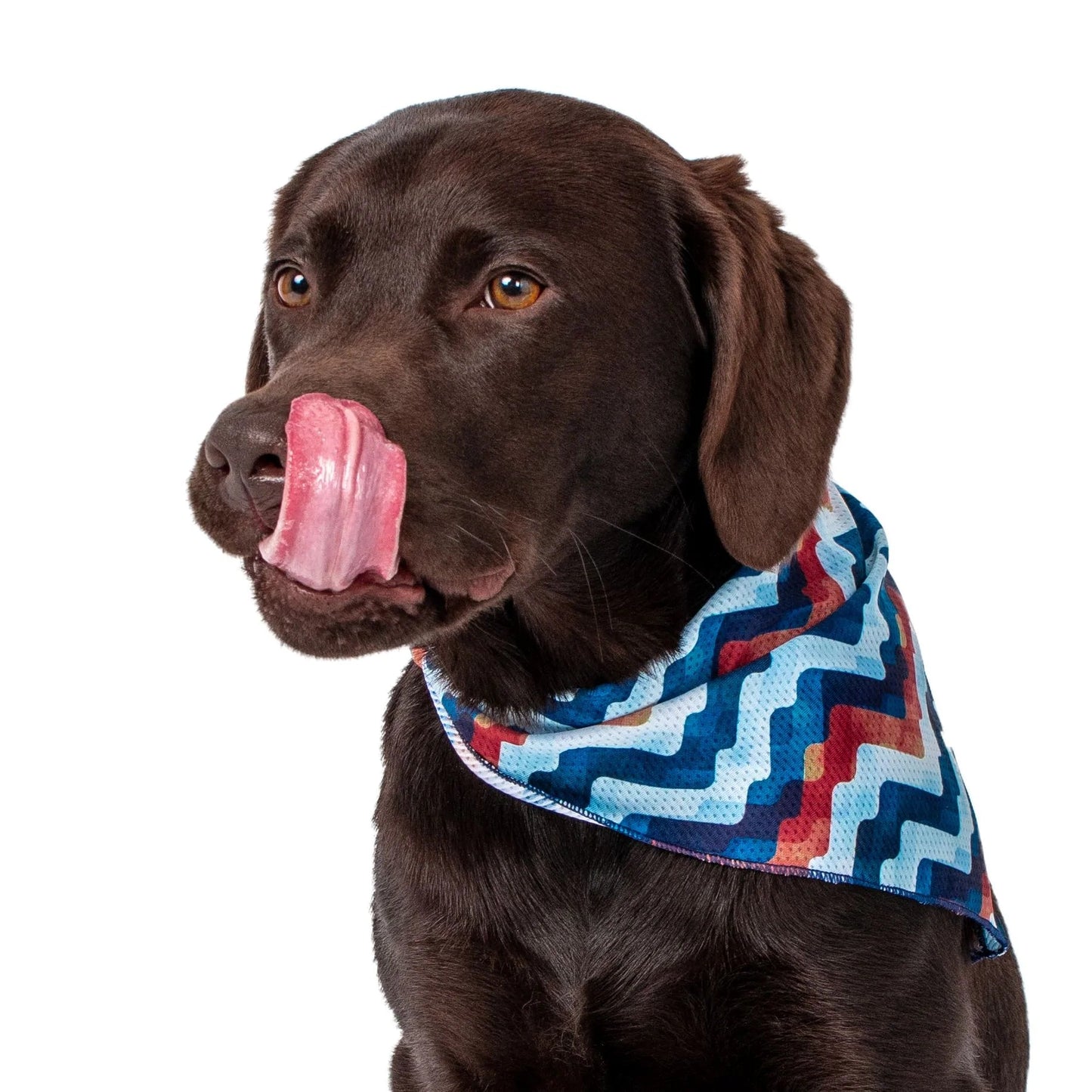 Wolves of Wellington Maverick Bandana