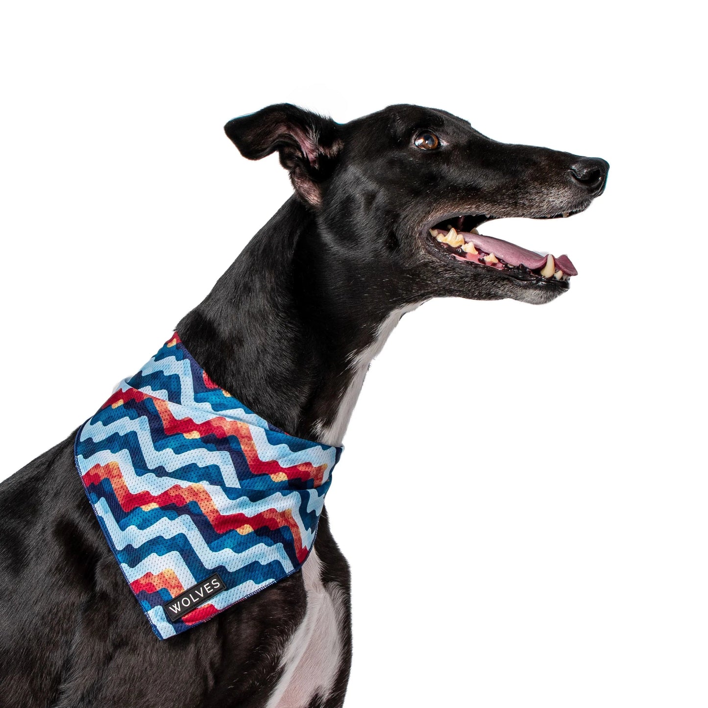 Wolves of Wellington Maverick Bandana