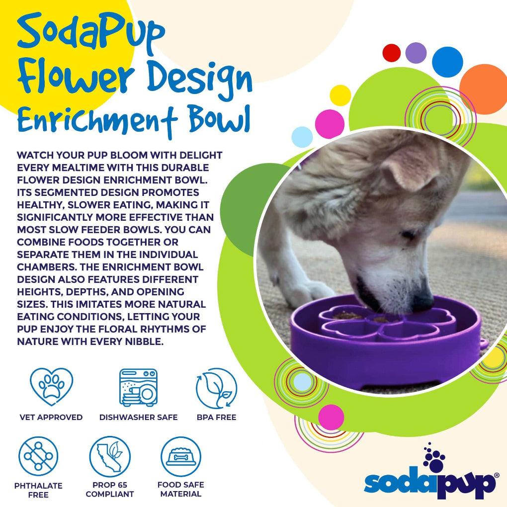 Enrichment slow feeder