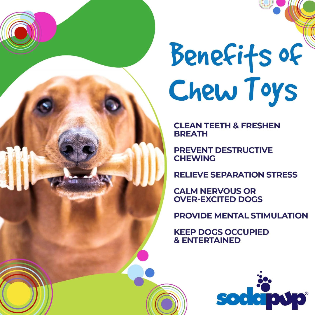 Nylon chew, durable