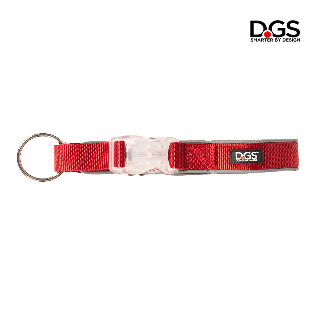 DGS Comet LED Safety Collar