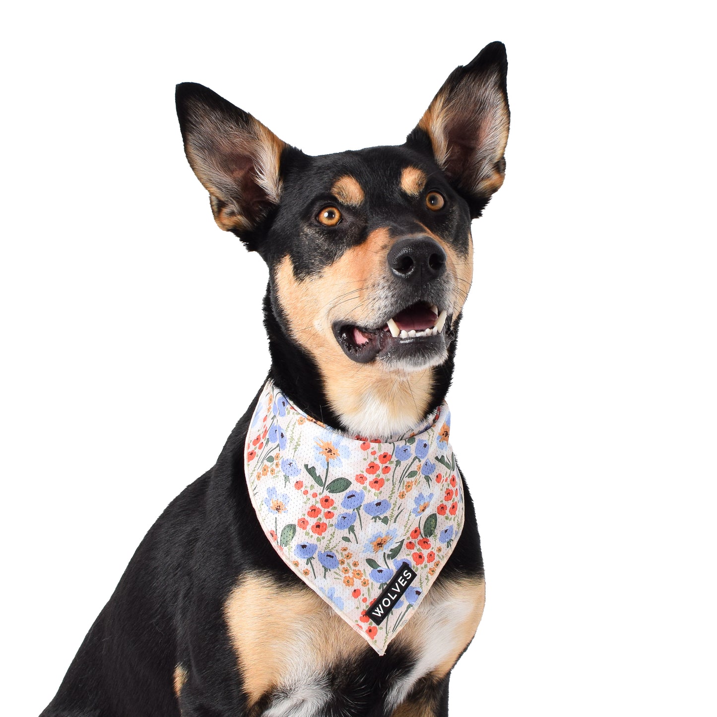 Wolves of Wellington Posy Bandana