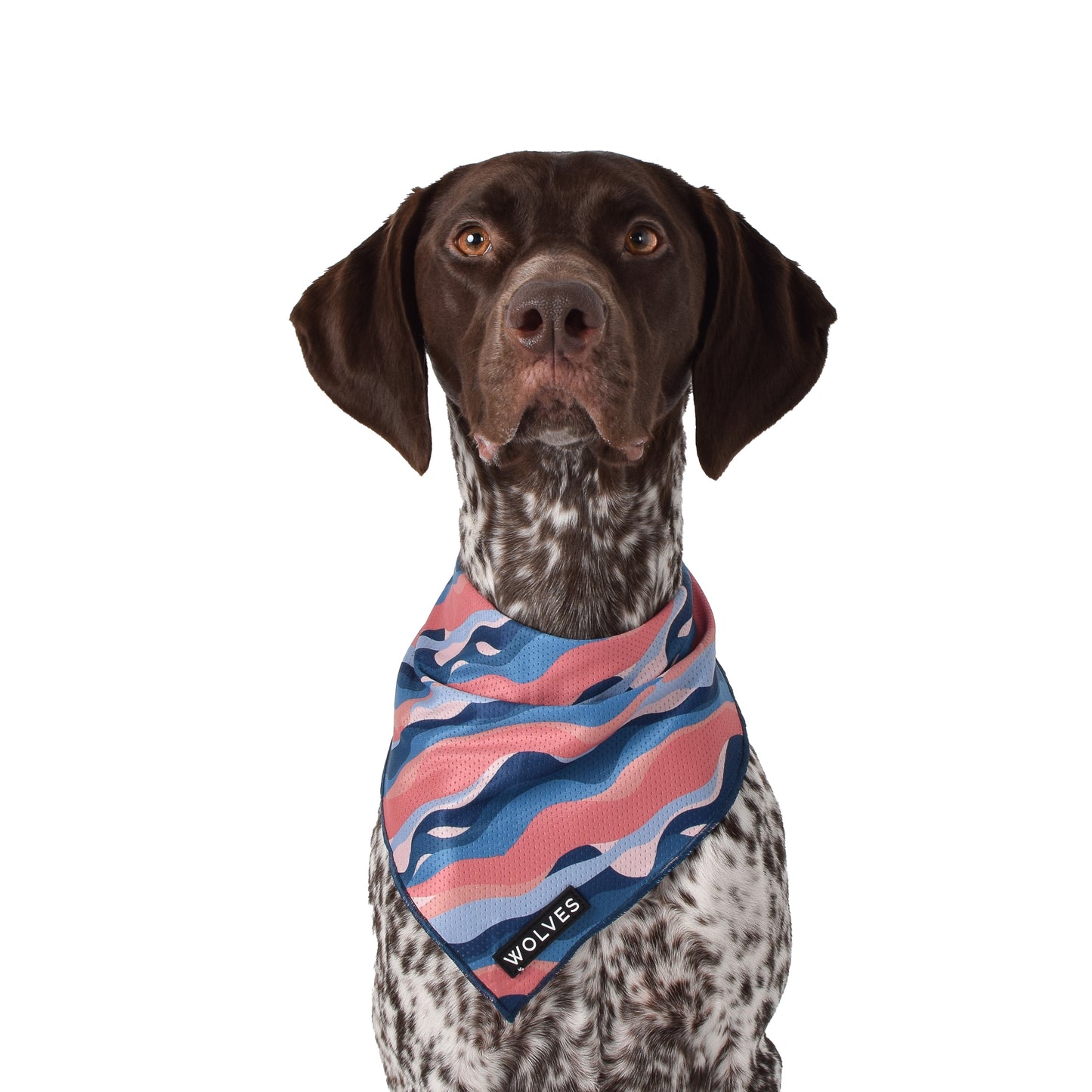 Wolves of Wellington Dusk Bandana