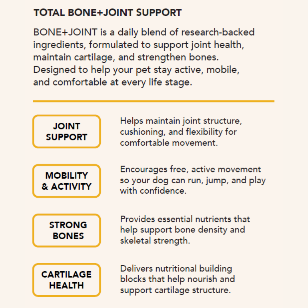 Bone & joint powder