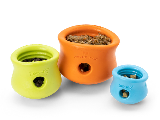 Slow feeder, enrichment 