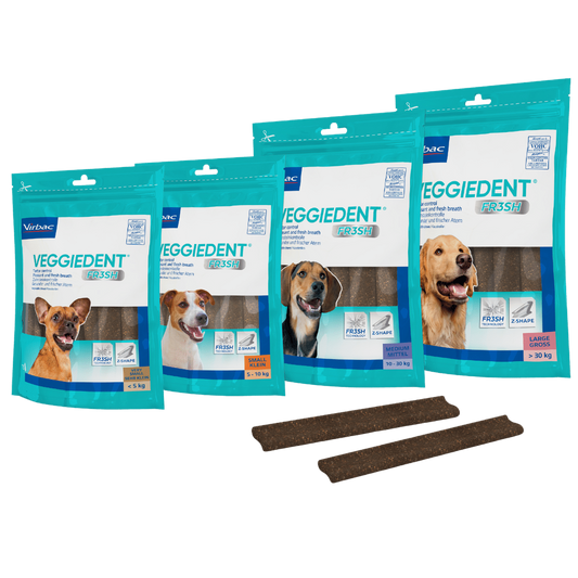 Veggiedent Fr3sh Dental Chews 15 pack