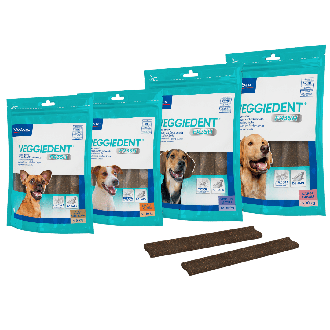 Veggiedent Fr3sh Dental Chews 15 pack