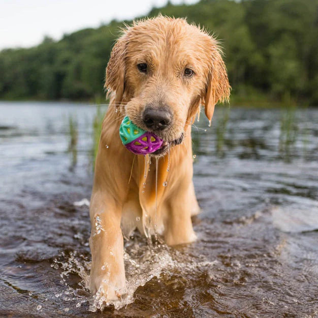 Dog toy, ball, squeaker