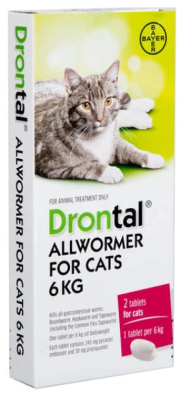 Cat worm treatment