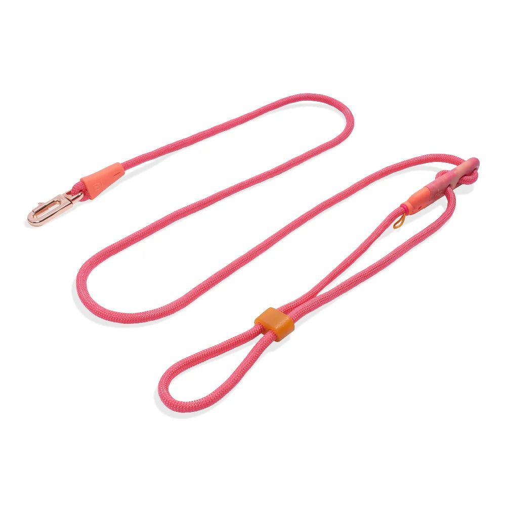 Zee.Dog Hands-Free Leash