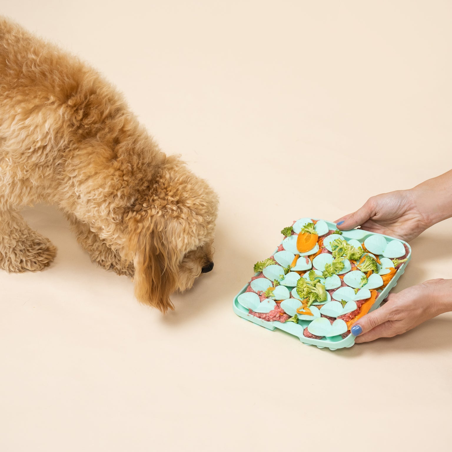 Pet Products New Zealand 'Pets Are Our Passion' — Pet Products New