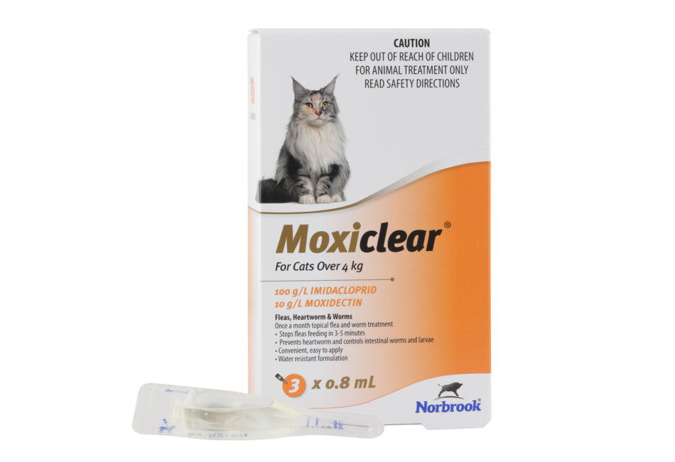 Flea & Worm treatment