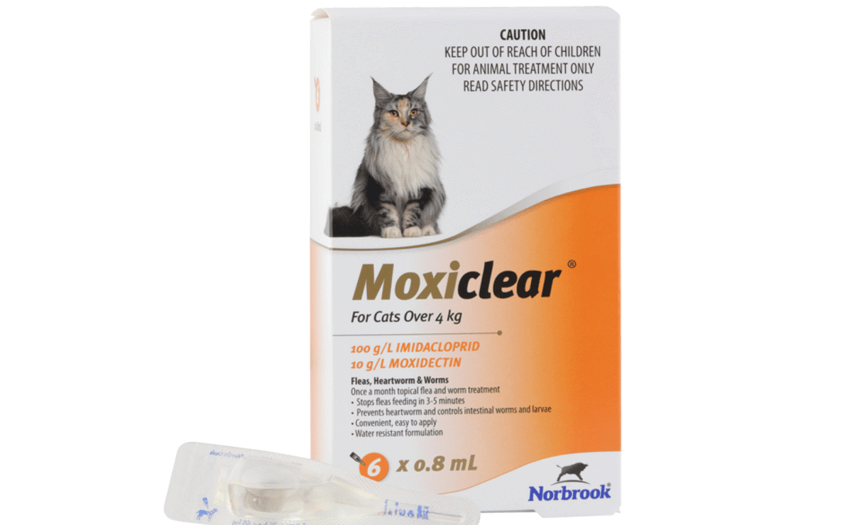 Flea & Worm treatment