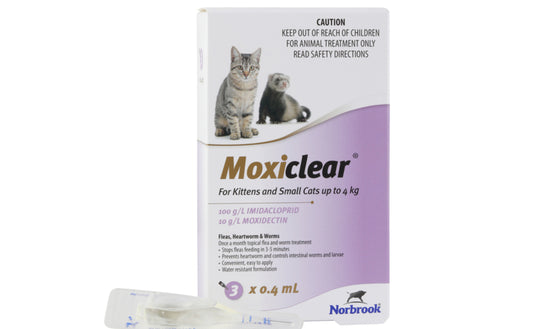 Flea, worm treatment