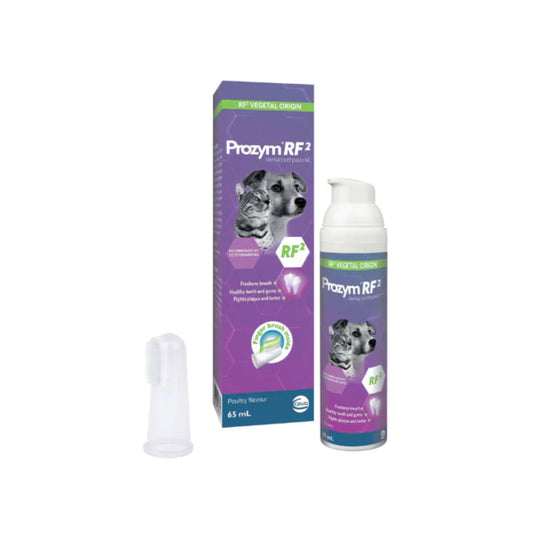 Dental toothpaste kit