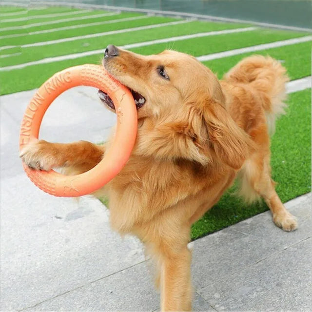 PitchDog Fetch Ring