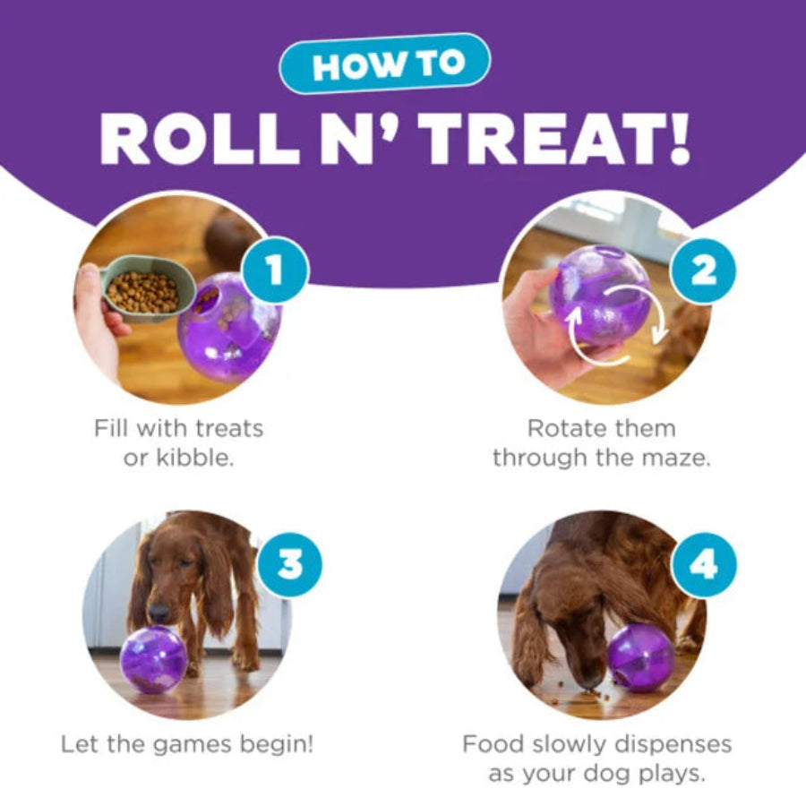 Dog treat puzzle toy