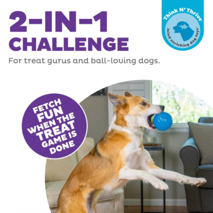 Dog treat puzzle toy