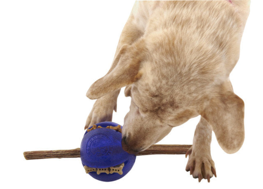 Dog treat puzzle toy