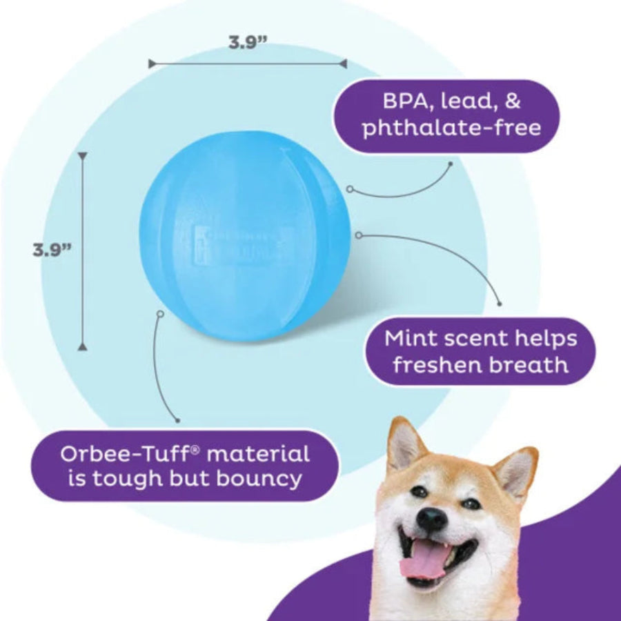Dog treat puzzle toy