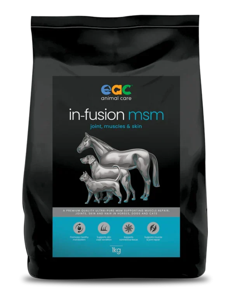 MSM powder