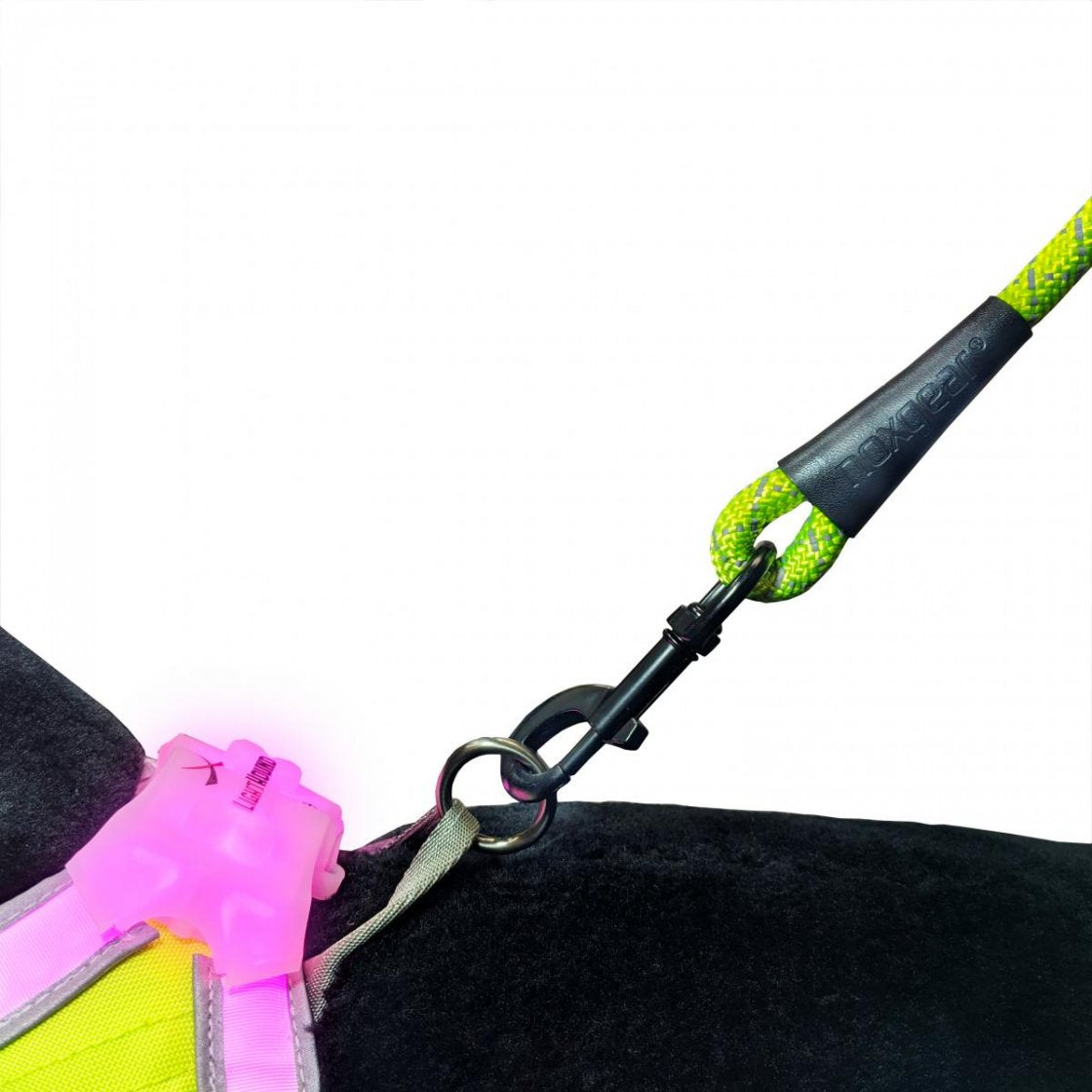 Noxgear High Visibility Leash